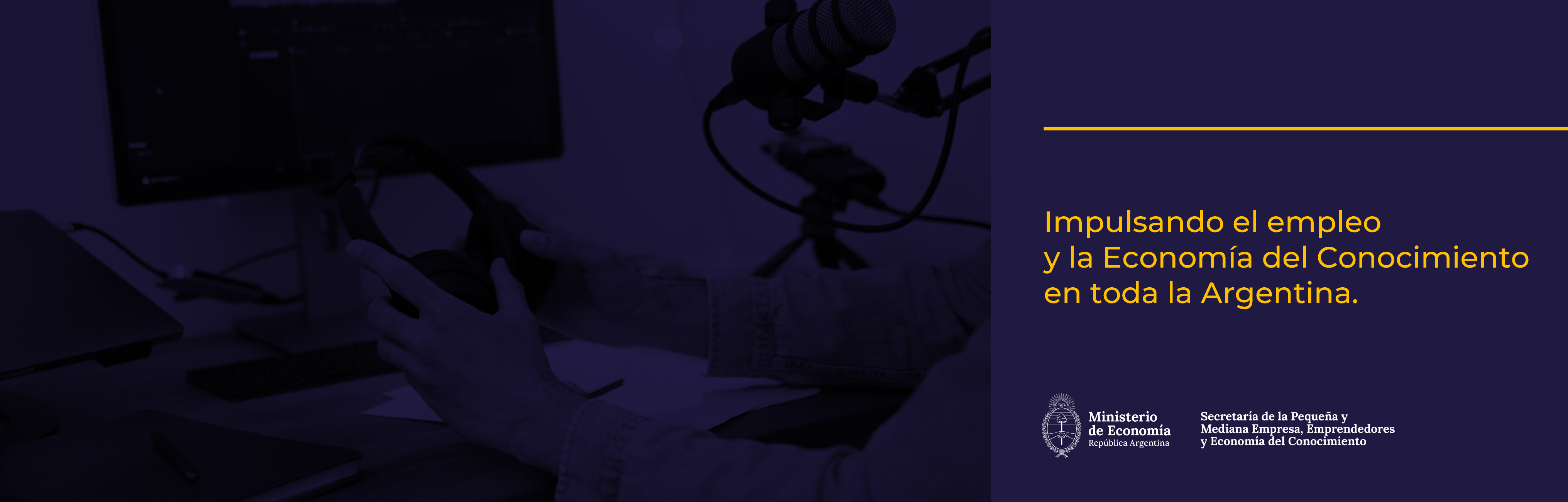 Programa Insertar