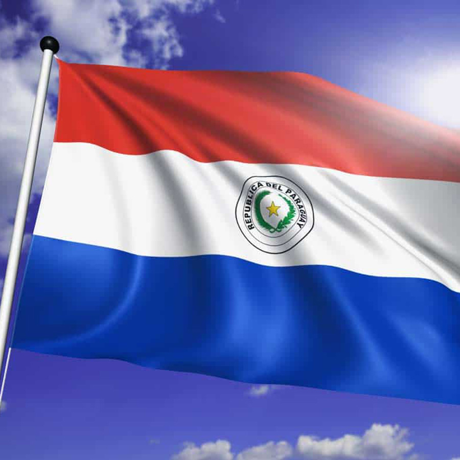 paraguay informe