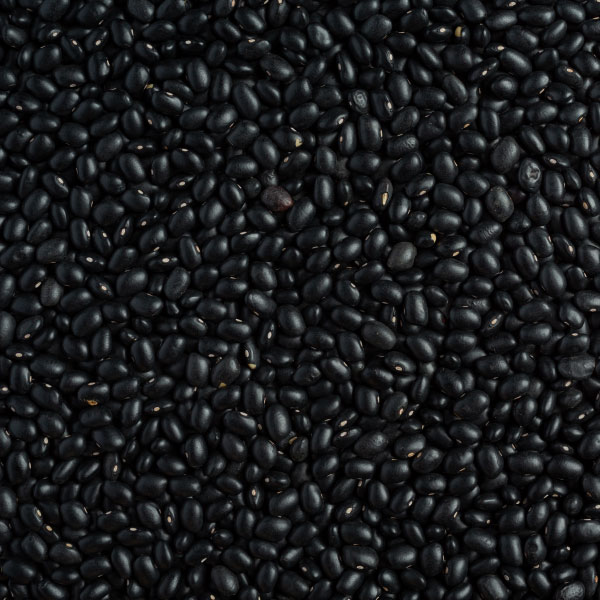poroto-negro