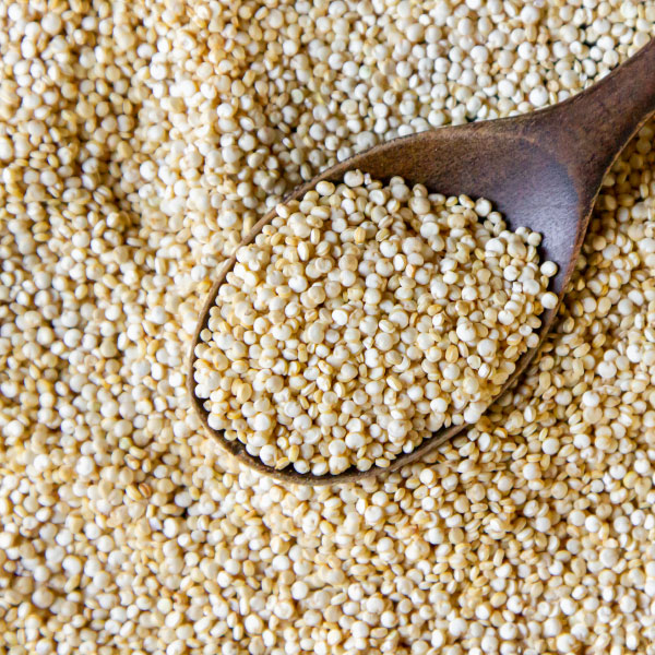 quinoa quinoa