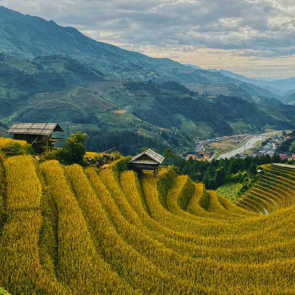 vietnam vietnam